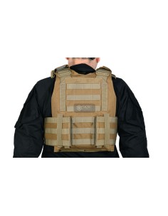 DELTA TACTICS PLATE CARRIER TASK TAN 2