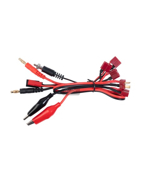 CHARGEUR REPARTITEUR B6 PRO DUEL CODE AVEC TRANSFORMATEUR DE COURANT