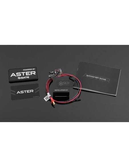 GATE ASTER V2 BASIC MODULE REAR WIRED