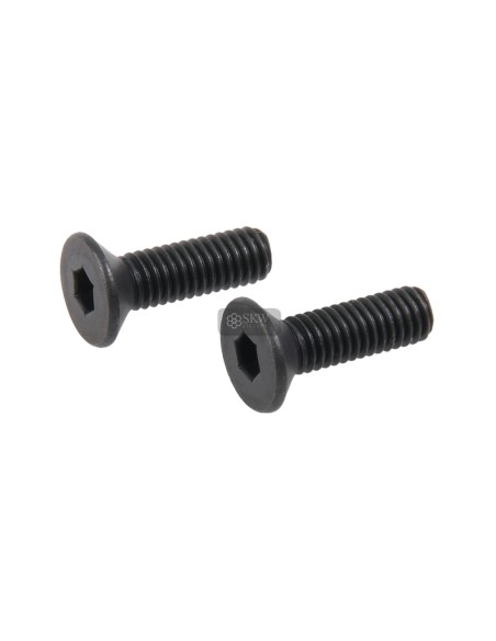 SECUTOR GLADIUS MAGNA RMR TRIJICON SCREWS