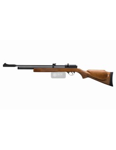 PCP RIFLE MINERVA STINGER