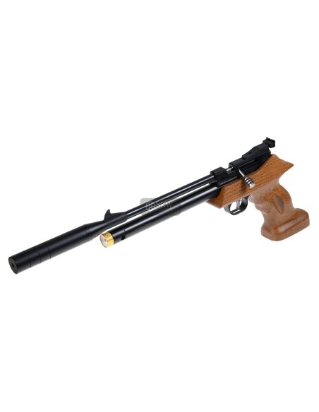PISTOLA PCP HADES STINGER