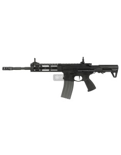 AEG CM16 RAIDER 2.0E LONG G&G (EGC-16P-R2E-BNB-NCM)