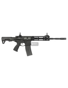 AEG CM16 RAIDER 2.0E LONG G&G (EGC-16P-R2E-BNB-NCM) 2