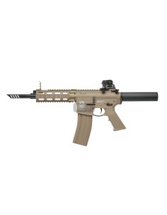 AEG GR16 CQW WASP Plastic Blow Back DST Combo G&G...