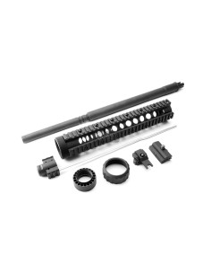 R.A.S. ET ENSEMBLE CANON SR-15 G&G (G-03-006)