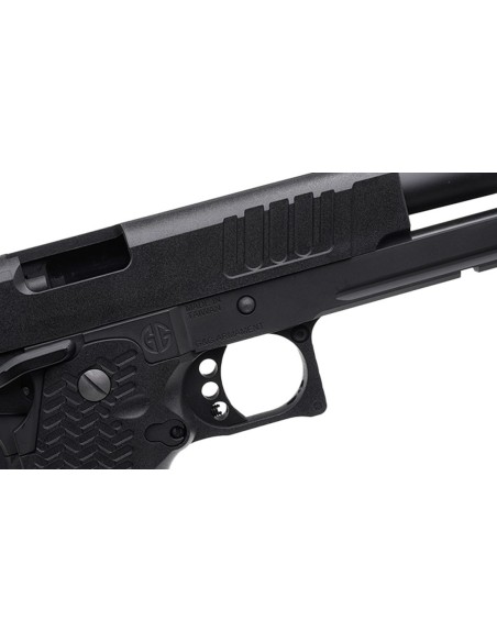 G&G STP45 (GAS-STP-045-BBB-ECM)